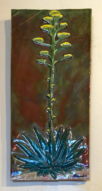Small Agave II 16x7