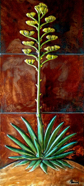 Large Agave2W.jpg