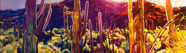 Saguaro Prism 1 16x56W.jpg