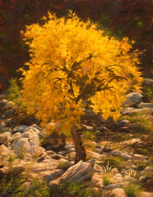 Color Of Autumn 18x14 SOLD!