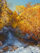 Sabino Creek Autumn16x12W.jpg