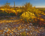 Sundown in Tucson6x8W.jpg