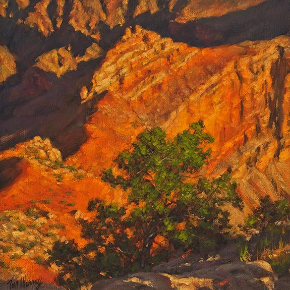 To View Within 8x8 SOLD!