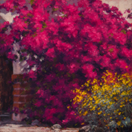 Bougainvillea2-6x6W.jpg