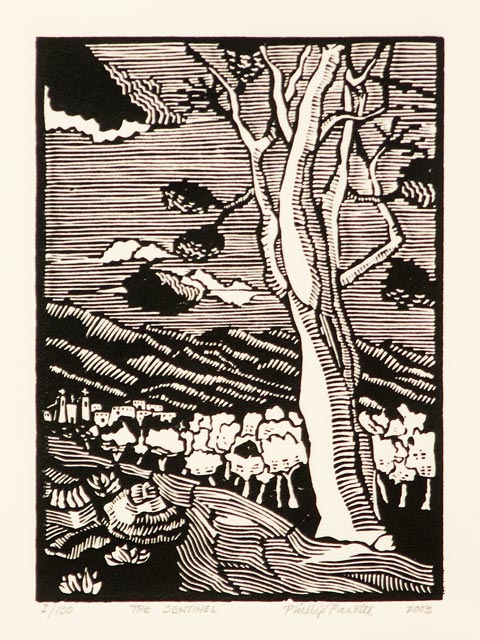 The Sentinel 18x6 SOLD!