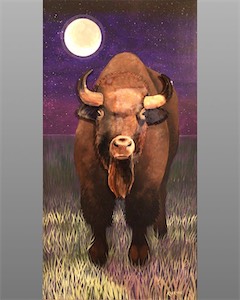 Sentinel 38x20