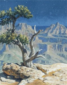 Full Moon 20x16