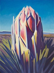 Joshua Tree Flower 30x40