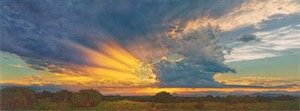 SOLD! Ephemeral Passage 18x48.jpg