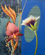 Strange Botany #17W.jpg