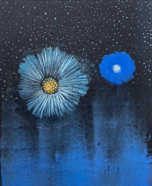 Summer Night MagicW.jpg